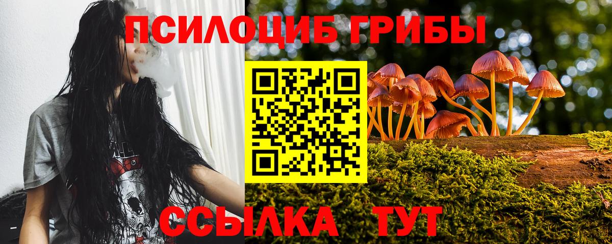 Псилоцибиновые грибы MAGIC MUSHROOMS  Вход с VPN  как найти наркотики  Армавир 