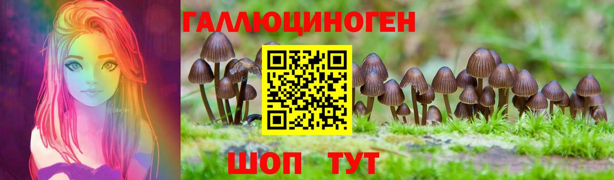 Галлюциногенные грибы Psilocybine cubensis Армавир